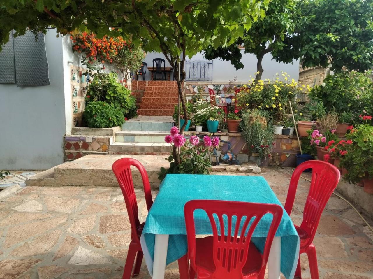 Hako Apartments ساراندا المظهر الخارجي الصورة