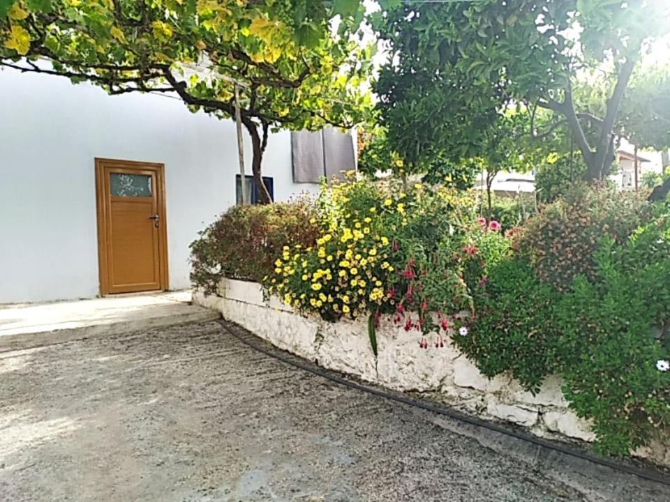 Hako Apartments ساراندا المظهر الخارجي الصورة