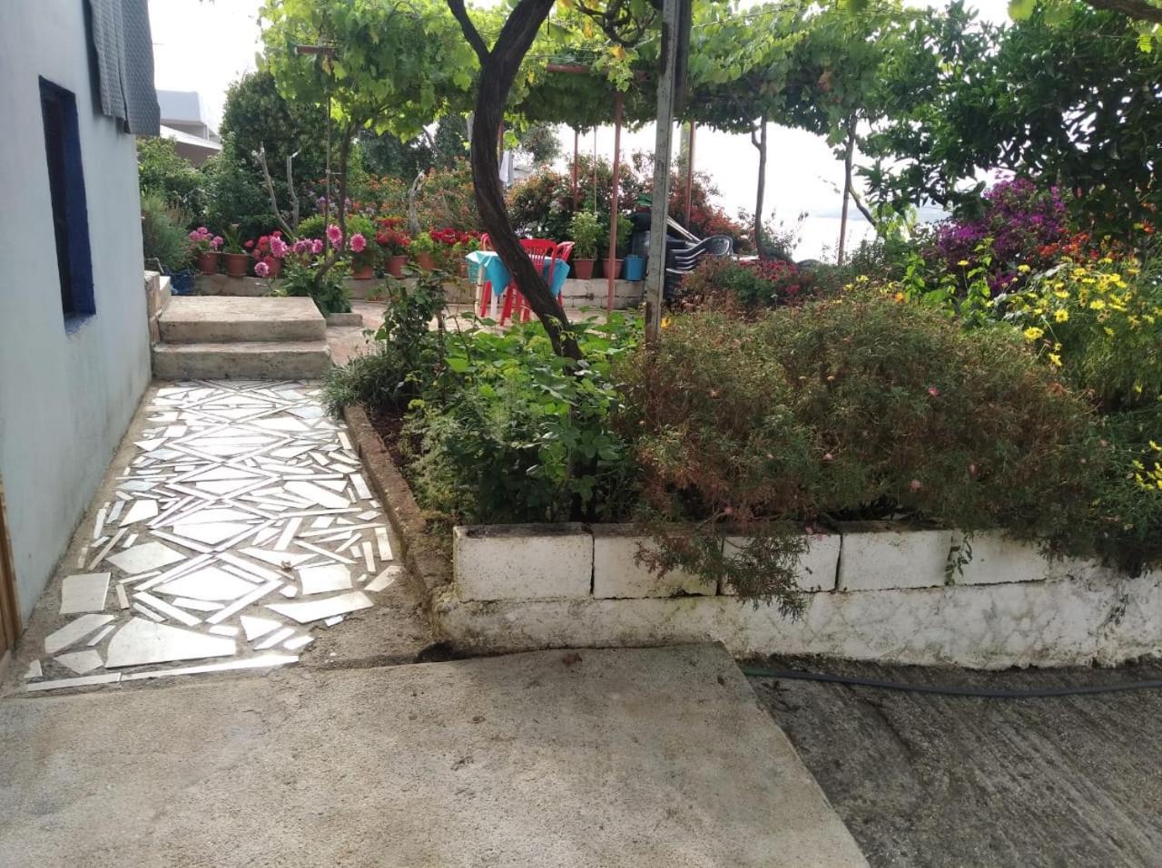 Hako Apartments ساراندا المظهر الخارجي الصورة